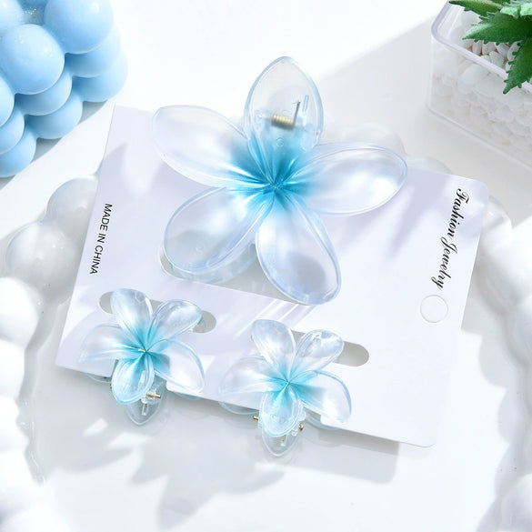 Women's Simple Frosted Frangipanishape Hair Gripper Set