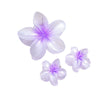 Women's Simple Frosted Frangipanishape Hair Gripper Set