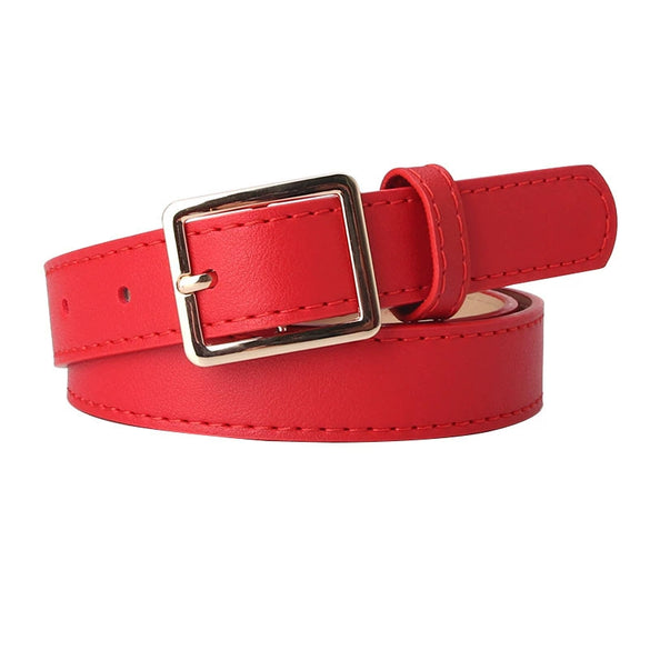 Women's Simple Versatile Pu Leather Belt With Alloy Pin Buckle Electroplated Finish Fashion Decorative Belt