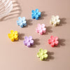 Women's Small Flower Hair Clip Frosted Baking Paint Style Accessories