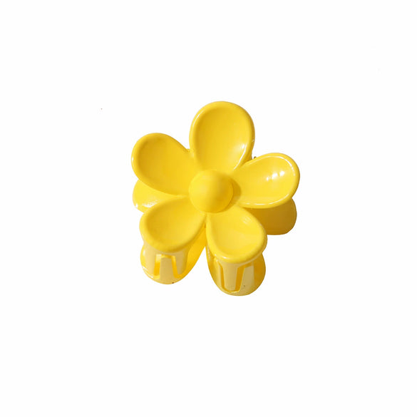 Women's Small Flower Hair Clip Frosted Baking Paint Style Accessories