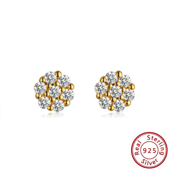 Women's Sparkling Zircon 925 Sterling Silver Earrings With Animal Zodiac Geometric Design Electroplated