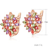 Women's Square Zircon Flower Earrings Fashion Full Stone Ear Buckle Style Natural Floral Design