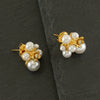 Women's Stainless Steel And Pearl Earrings With Irregular Light Luxury Design