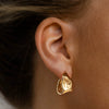 Women's Stainless Steel Geometric Cshaped Electroplated Earrings