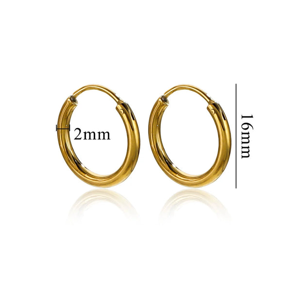 Women's Stainless Steel Geometric Fish Pattern Electroplated Circle Square Line Earrings