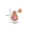 Women's Stainless Steel Heart Pattern Electroplating Ear Nail