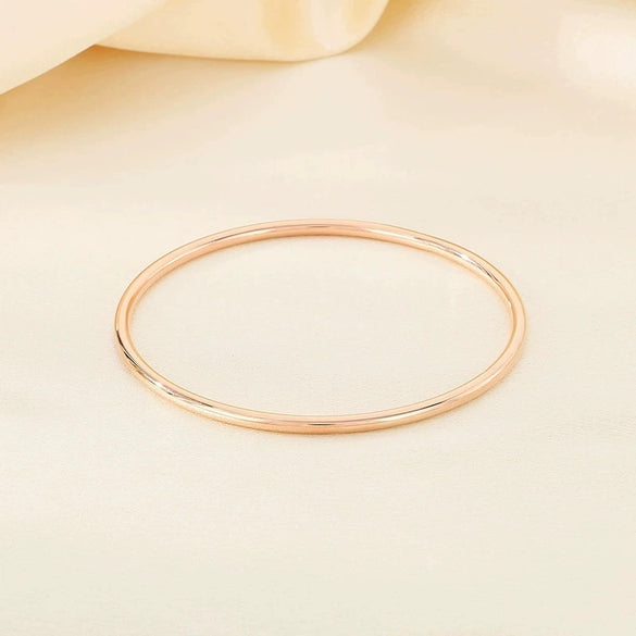 Women's Stainless Steel Polished Round Wire Minimalist Geometric Electroplated Bracelet
