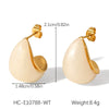Women's Stainless Steel Resin Dropshaped Electroplated Minimalist Earrings