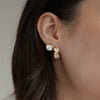 Women's Stainless Steel Zircon Earrings With Gradient Geometric Ear Cuffs And Plated Finish Sparkling Sophisticated Jewelry
