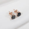 Women's Sterling Silver Geometric Inlaid Zircon Earrings With Electroplated Finish Fashion Jewelry Accessories