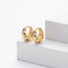 Women's 925 Sterling Silver Geometric Inlaid Zircon Round Gem Earrings