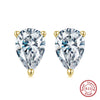Women's 925 Sterling Silver Zircon Earrings With Geometric Animal Zodiac Patterns Electroplated