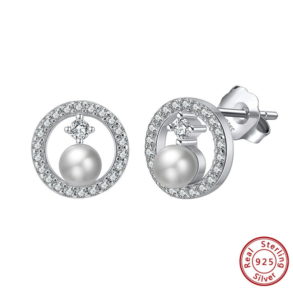 Women's 925 Sterling Silver Zircon Earrings With Geometric Animal Zodiac Patterns Electroplated