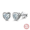 Women's 925 Sterling Silver Zircon Earrings With Geometric Animal Zodiac Patterns Electroplated