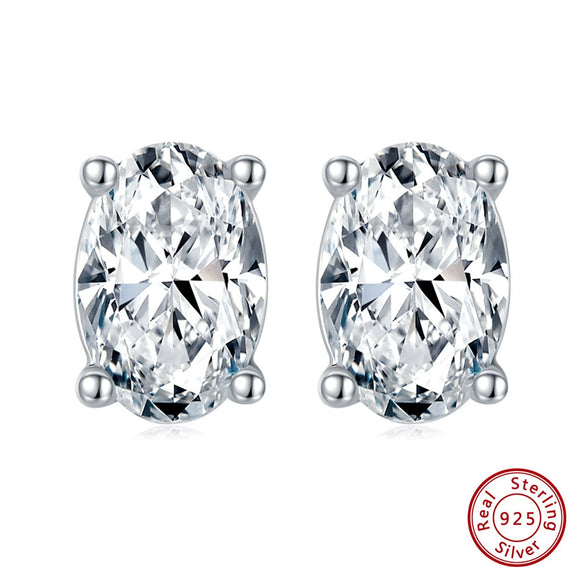 Women's 925 Sterling Silver Zircon Earrings With Geometric Animal Zodiac Patterns Electroplated