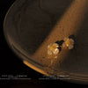 Women's Sweet Flower Earrings Copper Electroplated Small White Floral Stud Earrings With Silver Needle