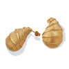 Women's 316L Stainless Steel Conch Earrings With Electroplating Fashion Style