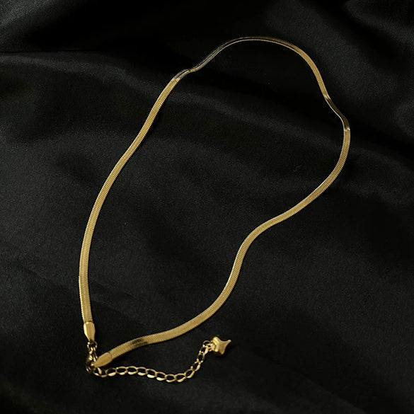 Women's Titanium Steel Flat Snake Chain Necklace Simple Geometric Clavicle Necklace With Electroplated Elegant Minimalist Style