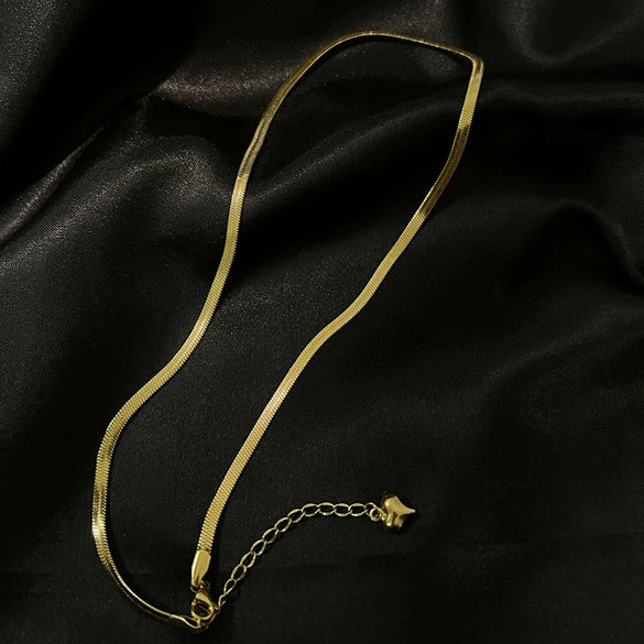 Women's Titanium Steel Flat Snake Chain Necklace Simple Geometric Clavicle Necklace With Electroplated Elegant Minimalist Style