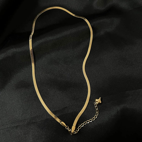 Women's Titanium Steel Flat Snake Chain Necklace Simple Geometric Clavicle Necklace With Electroplated Elegant Minimalist Style