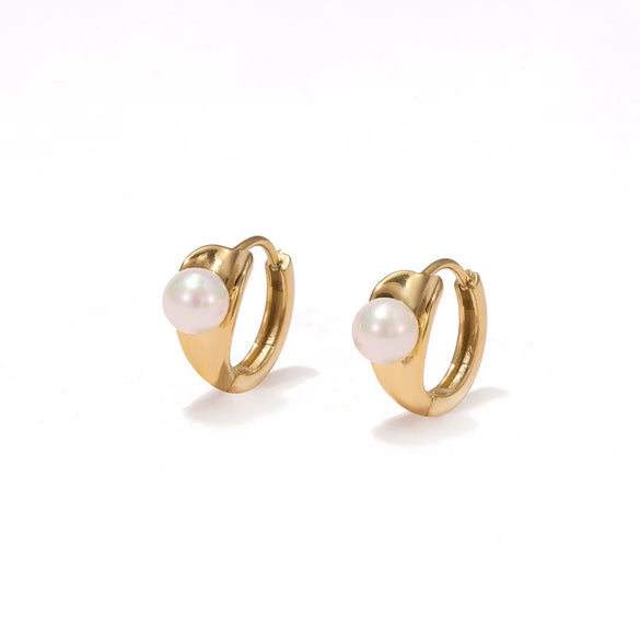 Women's Titanium Steel Geometric Earrings With Electroplating Light Luxury Simple Style