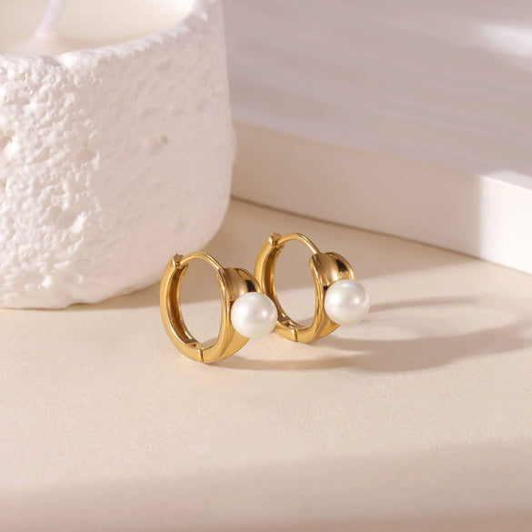 Women's Titanium Steel Geometric Earrings With Electroplating Light Luxury Simple Style
