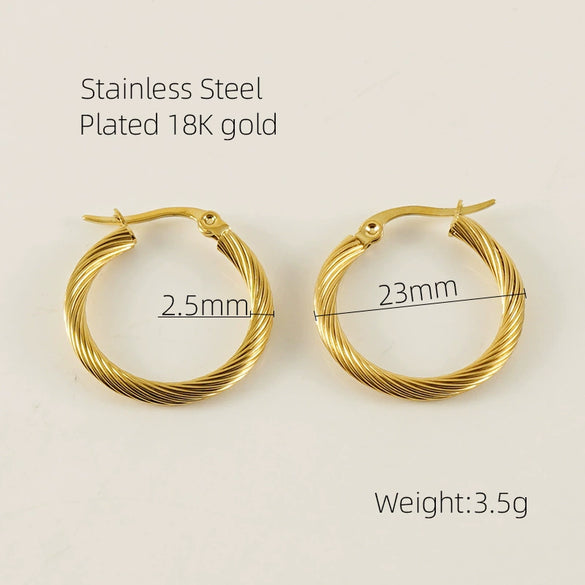 Women's 316L Stainless Steel Geometric Electroplated Earrings