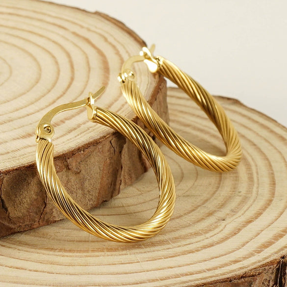 Women's 316L Stainless Steel Geometric Electroplated Earrings