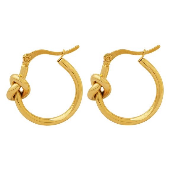 Women's Titanium Steel Geometric Electroplated Earrings