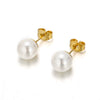 Women's Titanium Steel Geometric Shell Pearl Earrings With Electroplated Fashion Minimalist Design