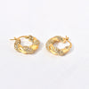 Women's Titanium Steel Geometric Ushaped Twist Earrings