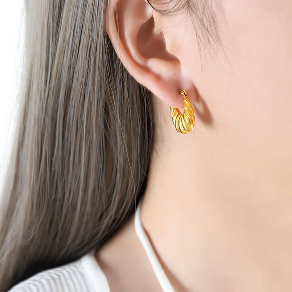 Women's Titanium Steel Irregular Geometric Electroplated Earrings