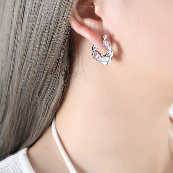 Women's Titanium Steel Irregular Geometric Electroplated Earrings