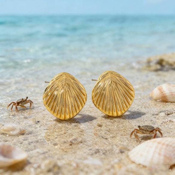 Women's Vacation Style Stainless Steel Shell Stud Earrings Geometric Shape With Stamped Hydraulic Finish