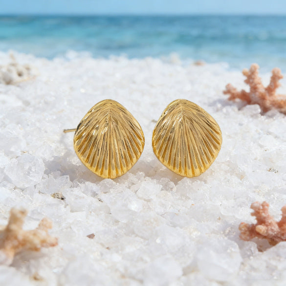 Women's Vacation Style Stainless Steel Shell Stud Earrings Geometric Shape With Stamped Hydraulic Finish